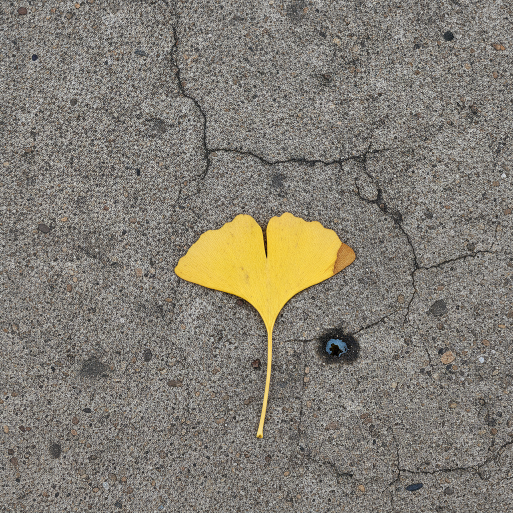 the invariant